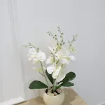 Joel Family Apartment's Center アパート *